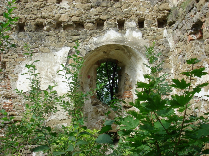 Sasov hrad