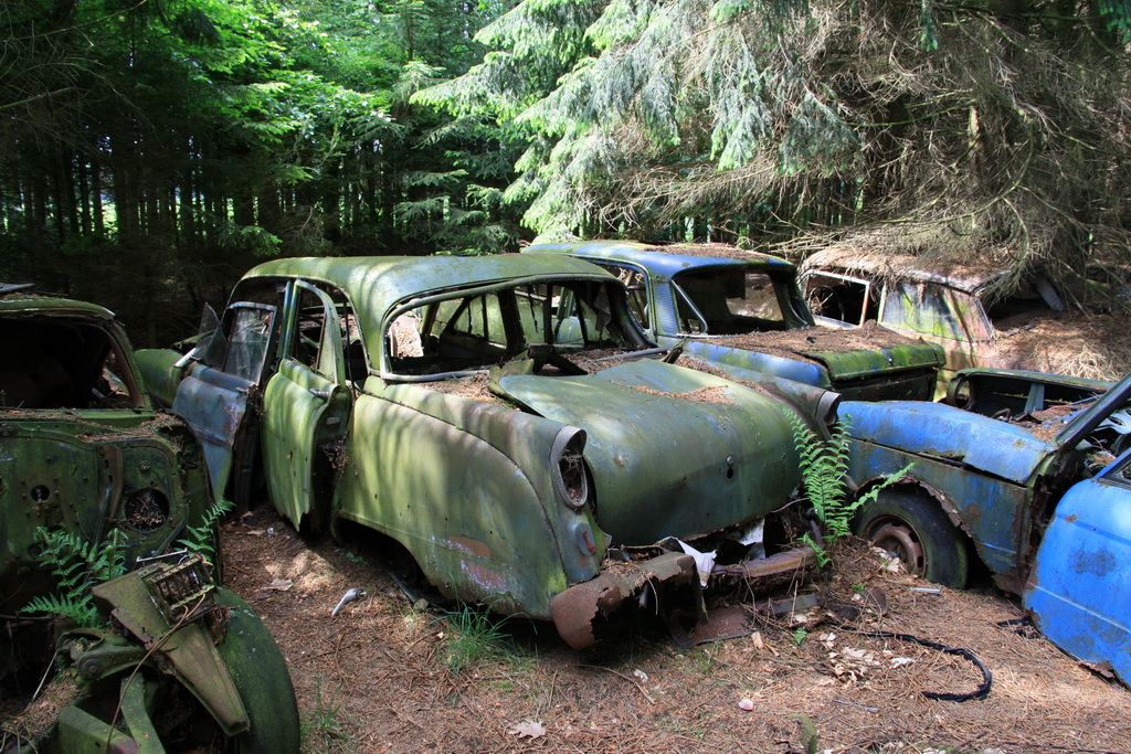 Forgotten cars