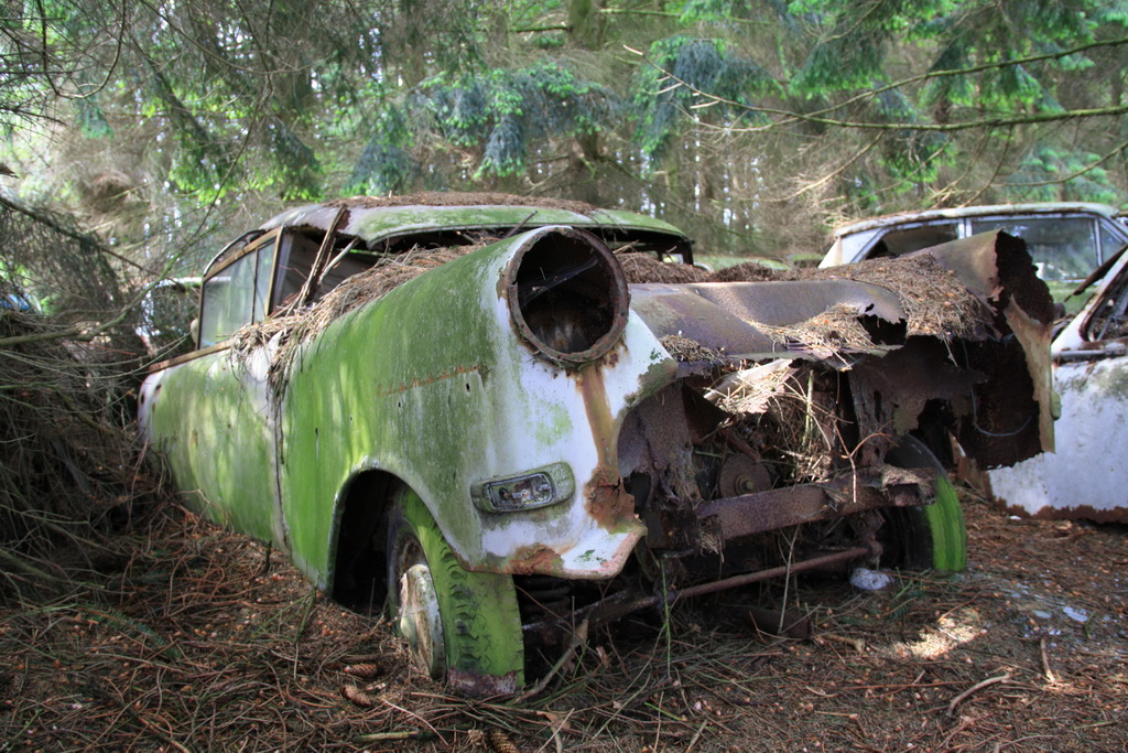 Forgotten cars