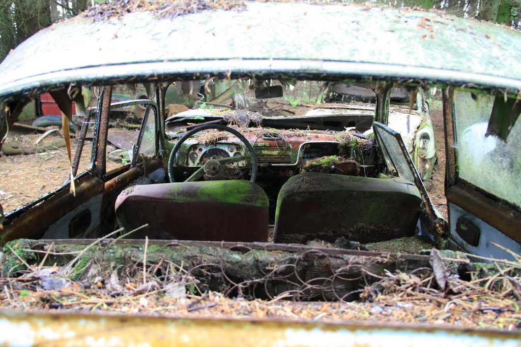 Forgotten cars