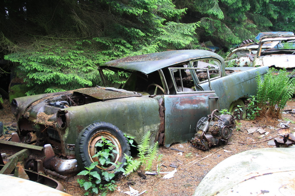 Forgotten cars