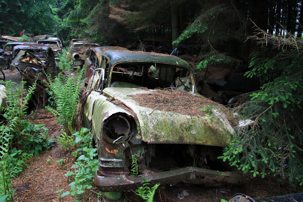 Forgotten cars