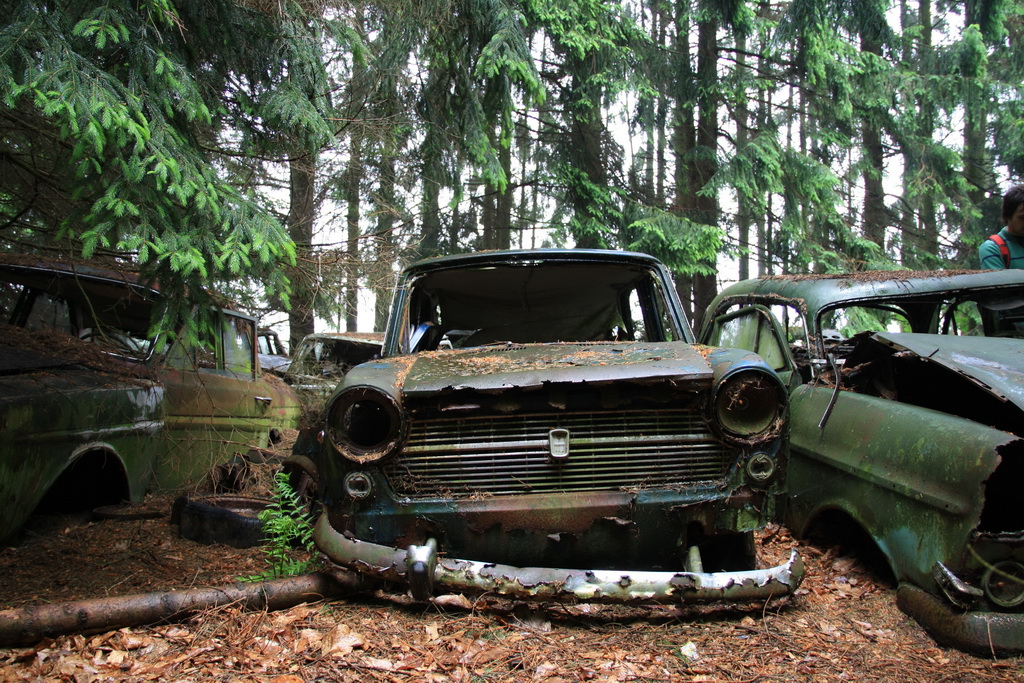 Forgotten cars