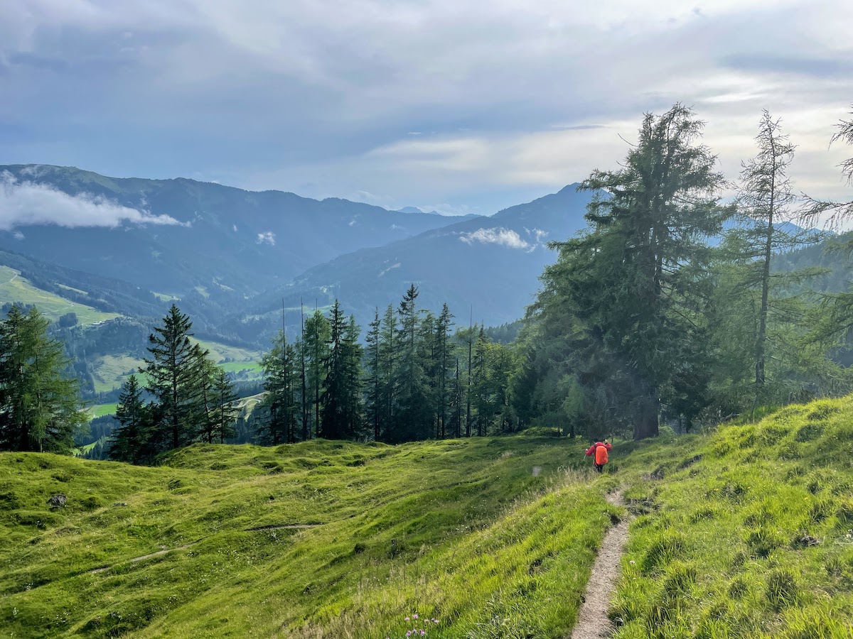Finally, a gentle trail