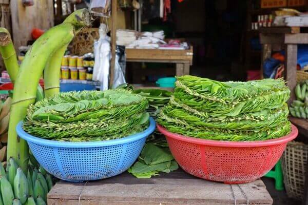 Betel leaves sold on the market
