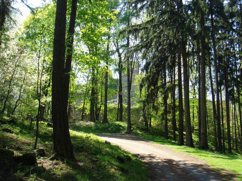 лесная дорога к замку