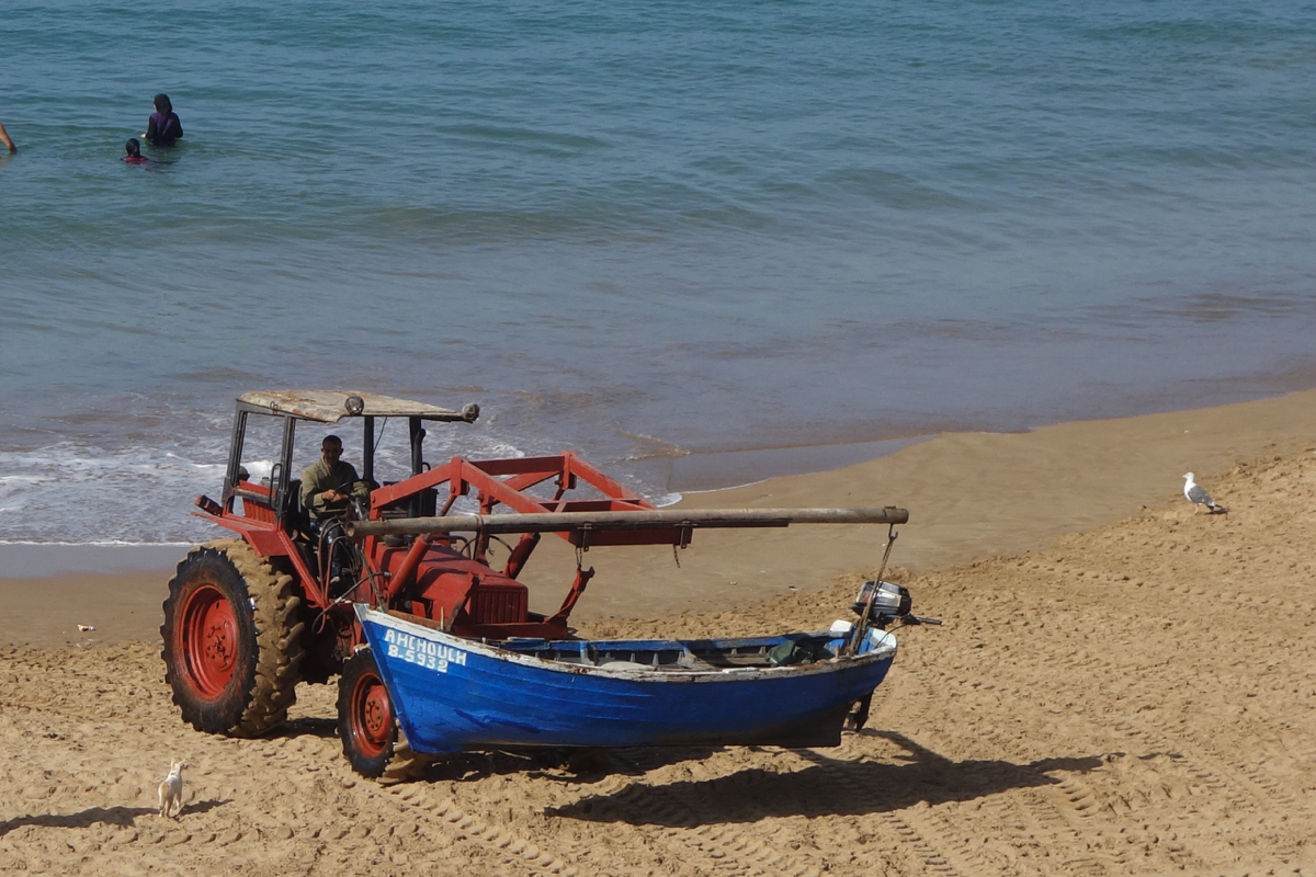 Tractor at Work