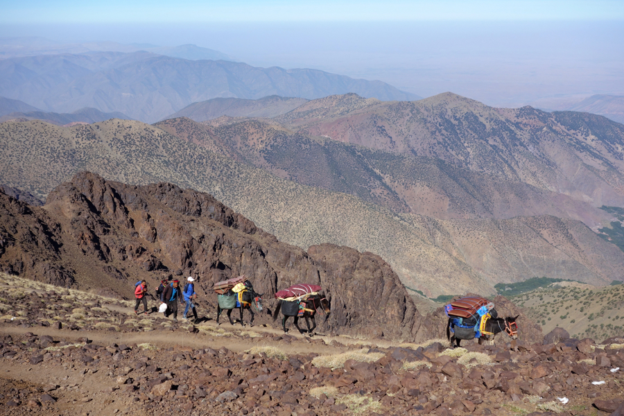 At the pass. Watching the donkeys.