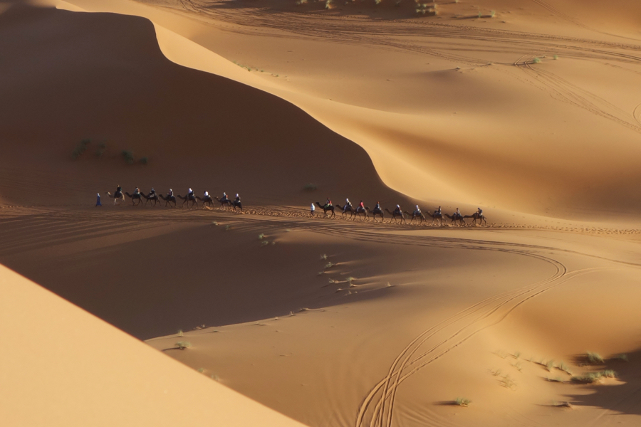 Caravan with tourists