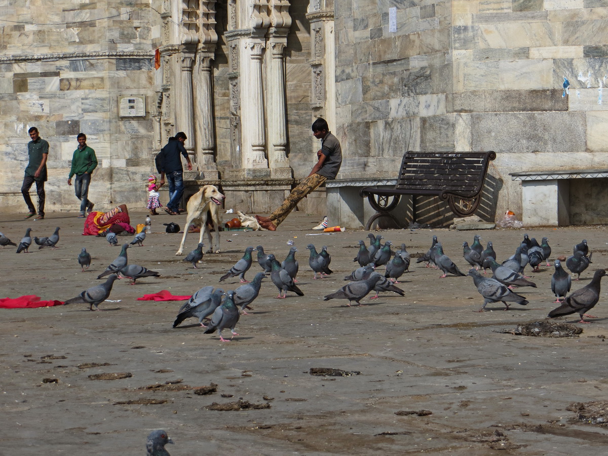 Backpacking in India: Day 18