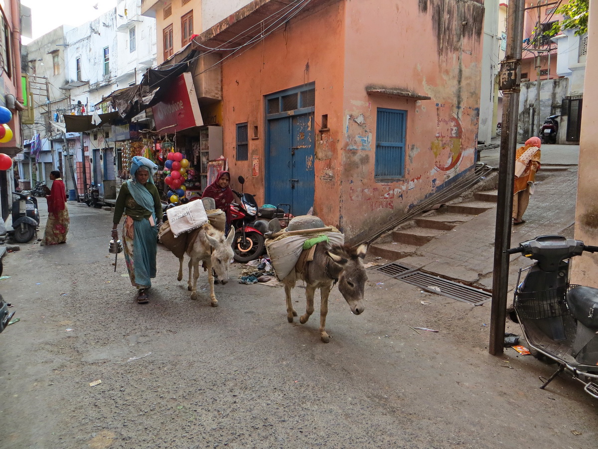 Backpacking in India: Day 18