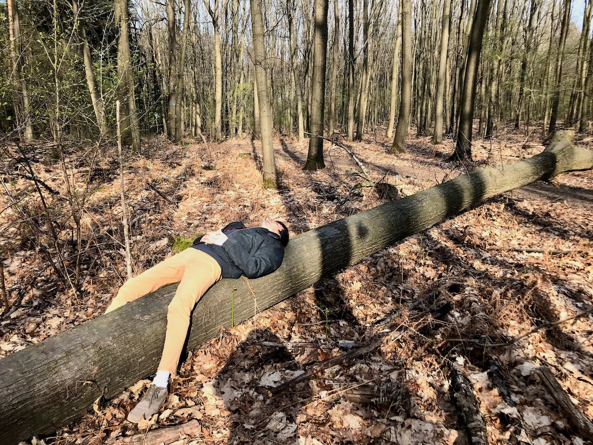 Healthy sleep in the forest