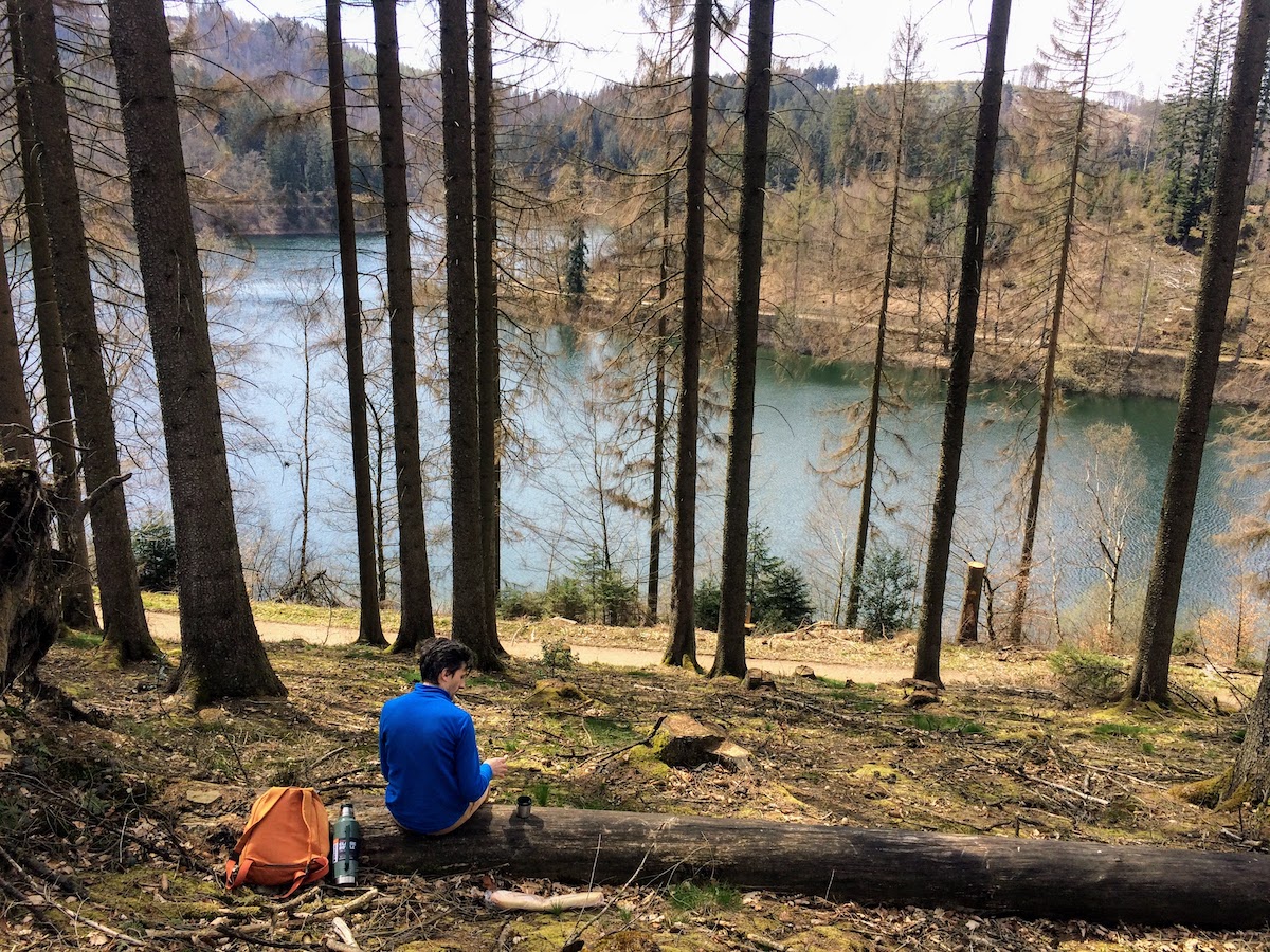 Tea and sandwiches with a view of the lake