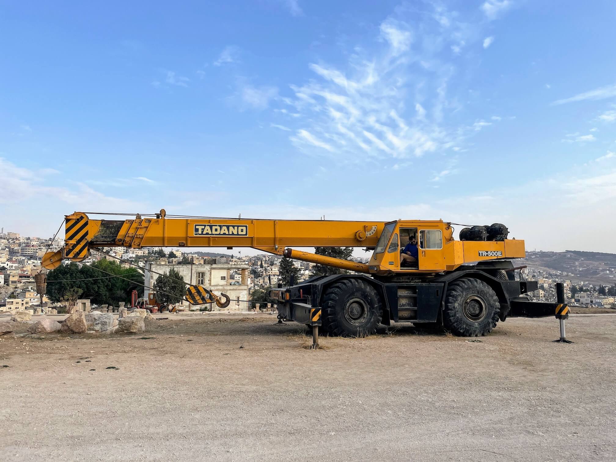 Wolf in the Crane