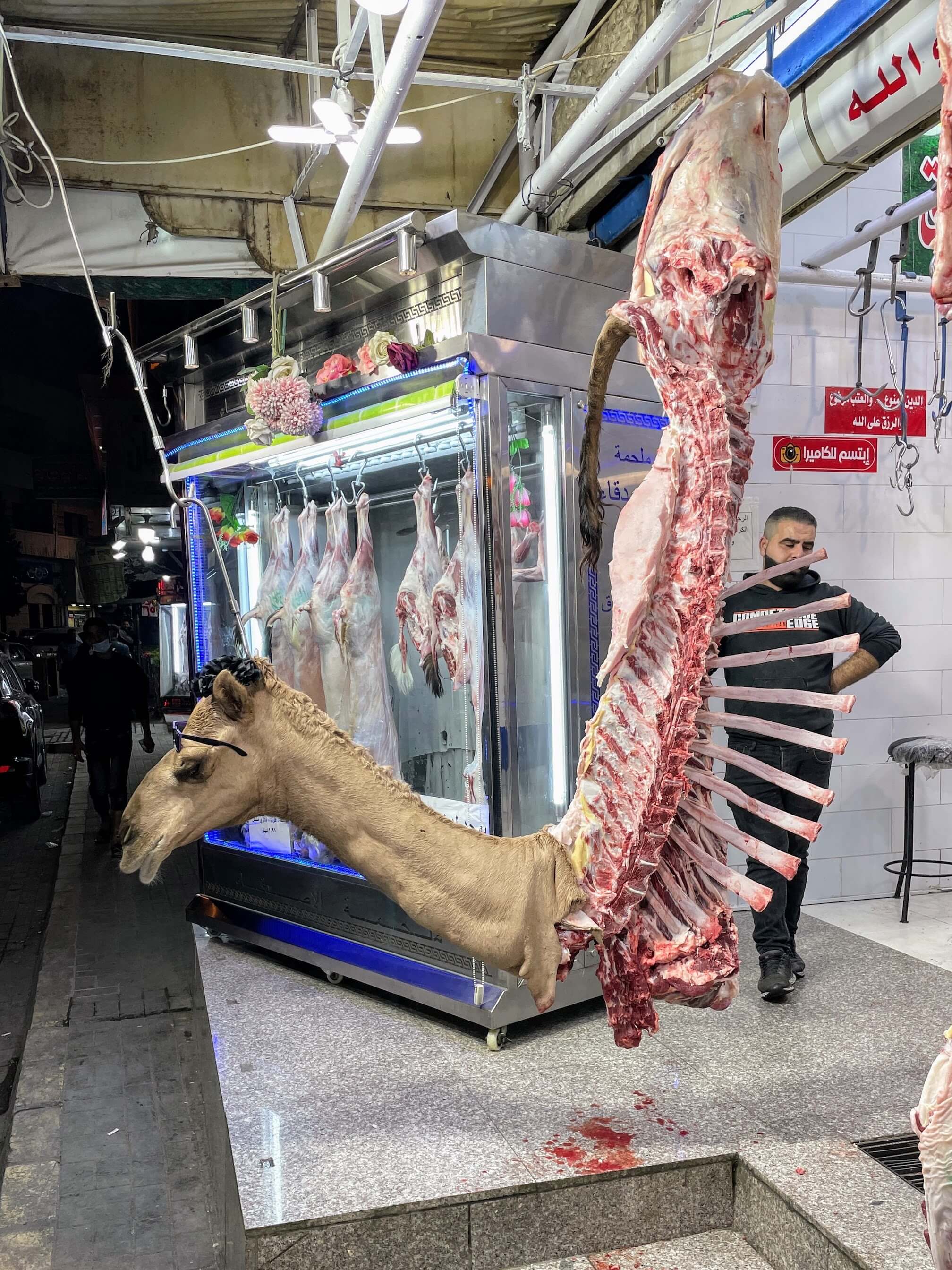 Camel carcass in a butcher shop