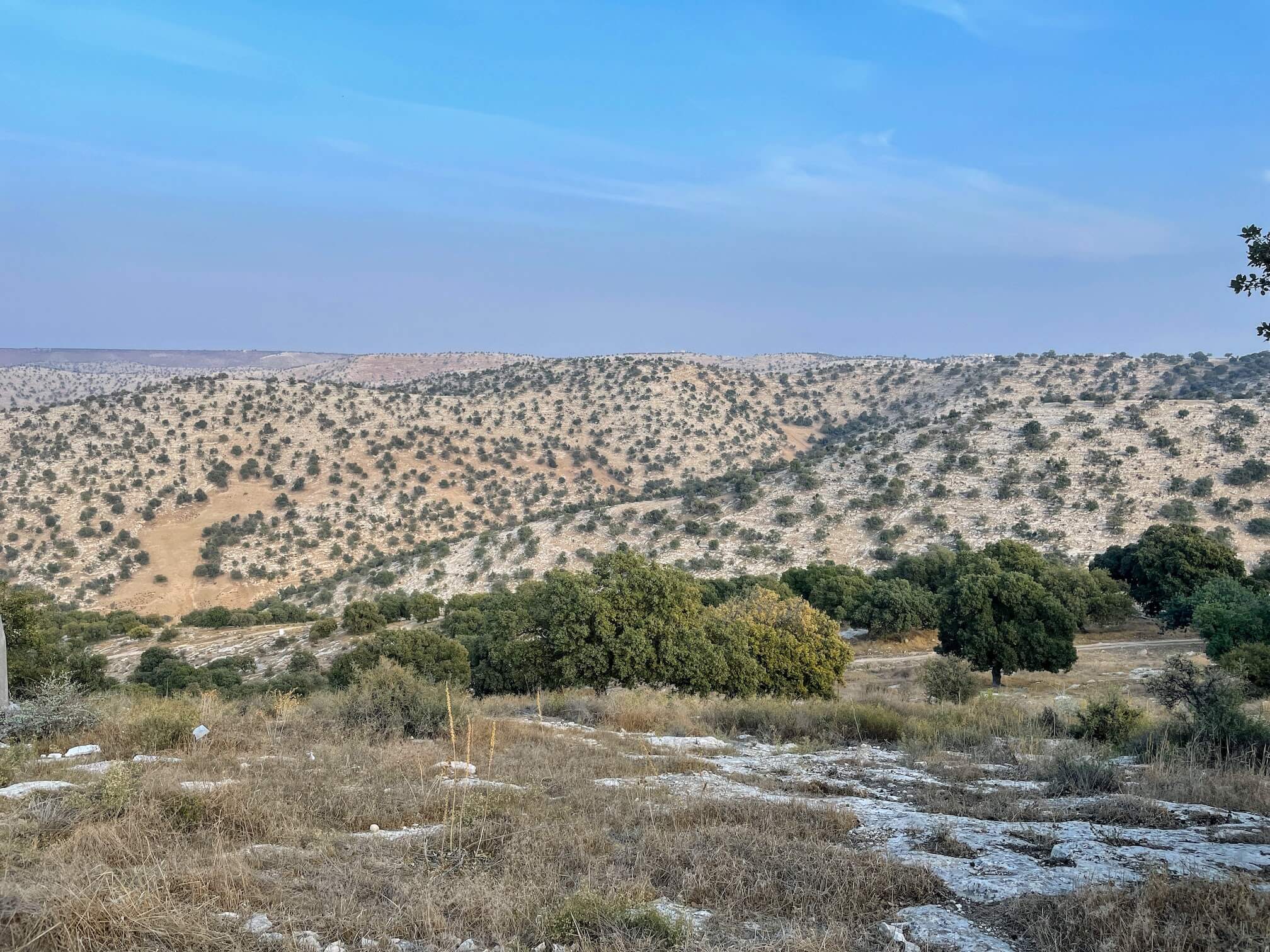 Yarmouk National Park