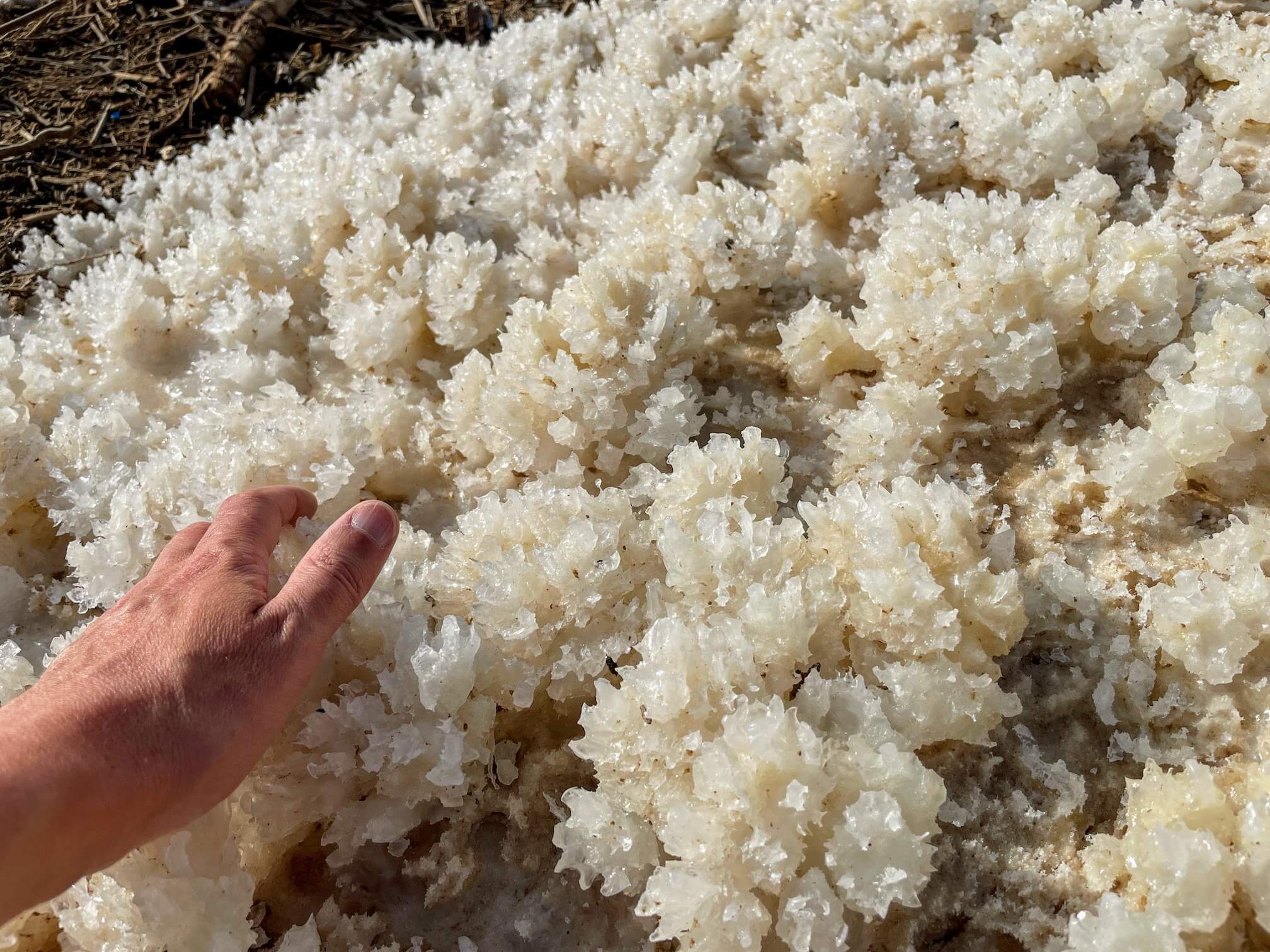 Salt Crystals