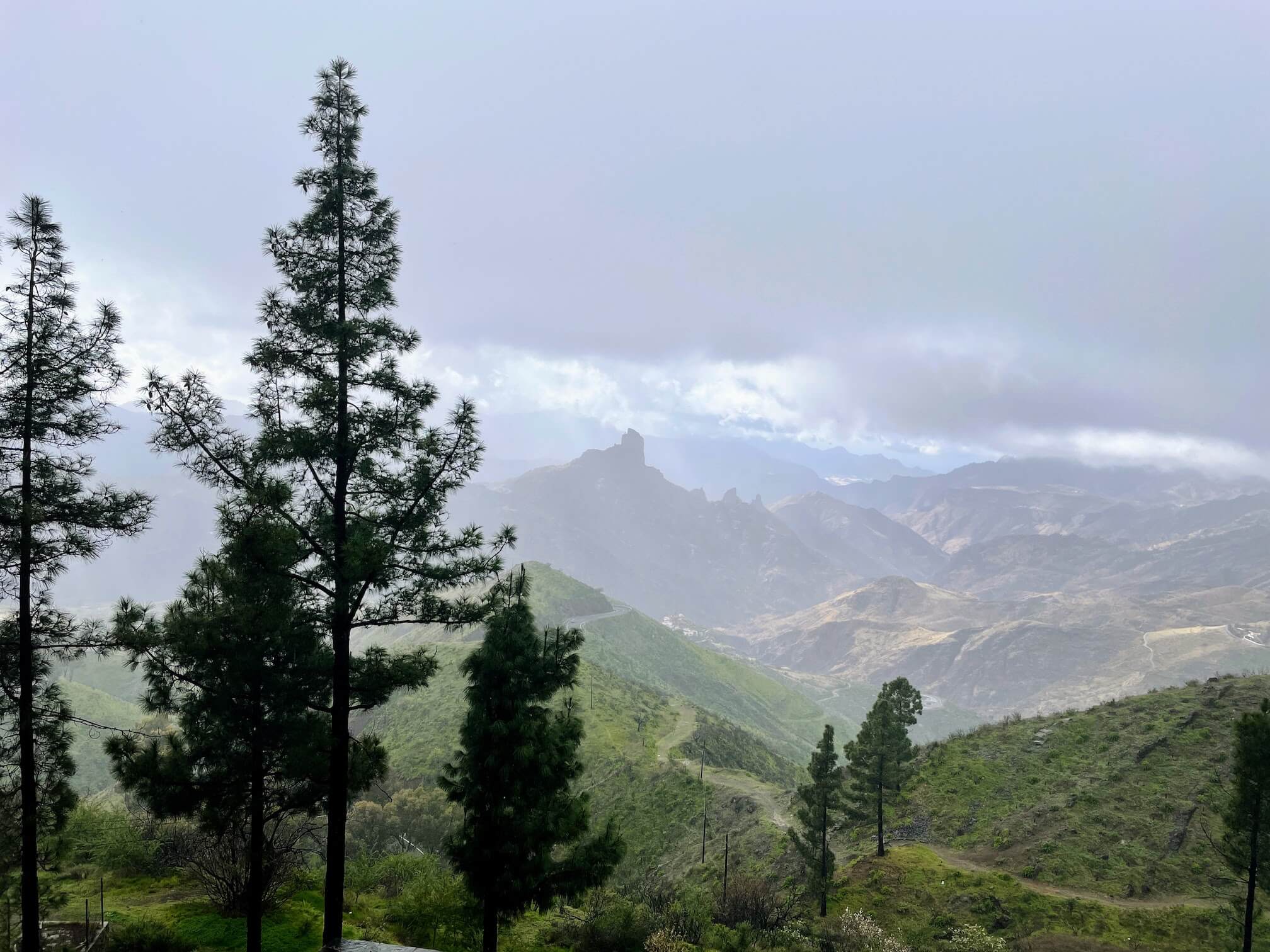 Смотровая площадка с видом на камни Roque Nublo (далеко-далеко на горизонте). Завтра мы к ним ещё вернёмся.