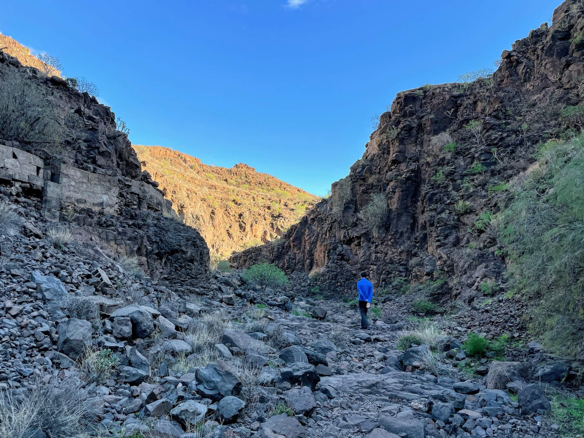 Wandering Among the Mountains