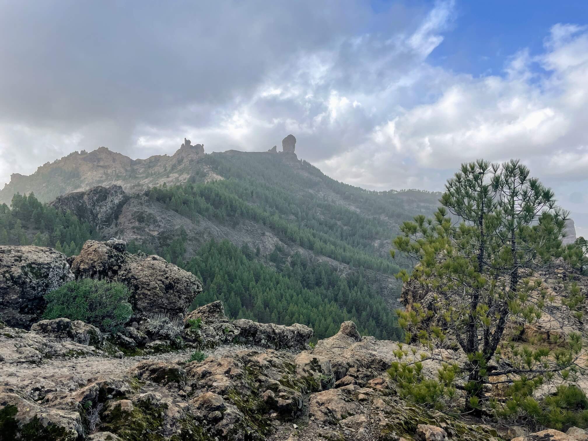 Roque Nublo вдалеке (каменная глыба торчащая на вершине горы)