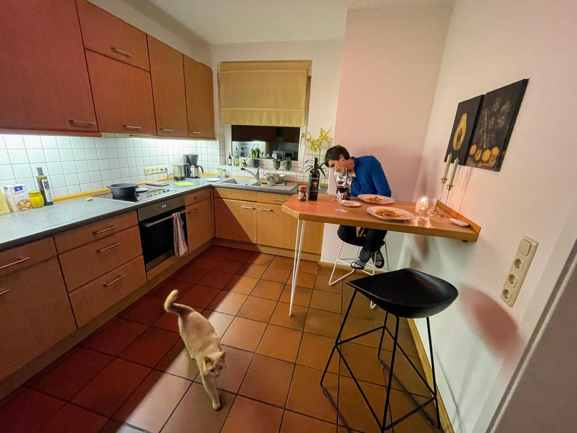 Kitchen and Cat