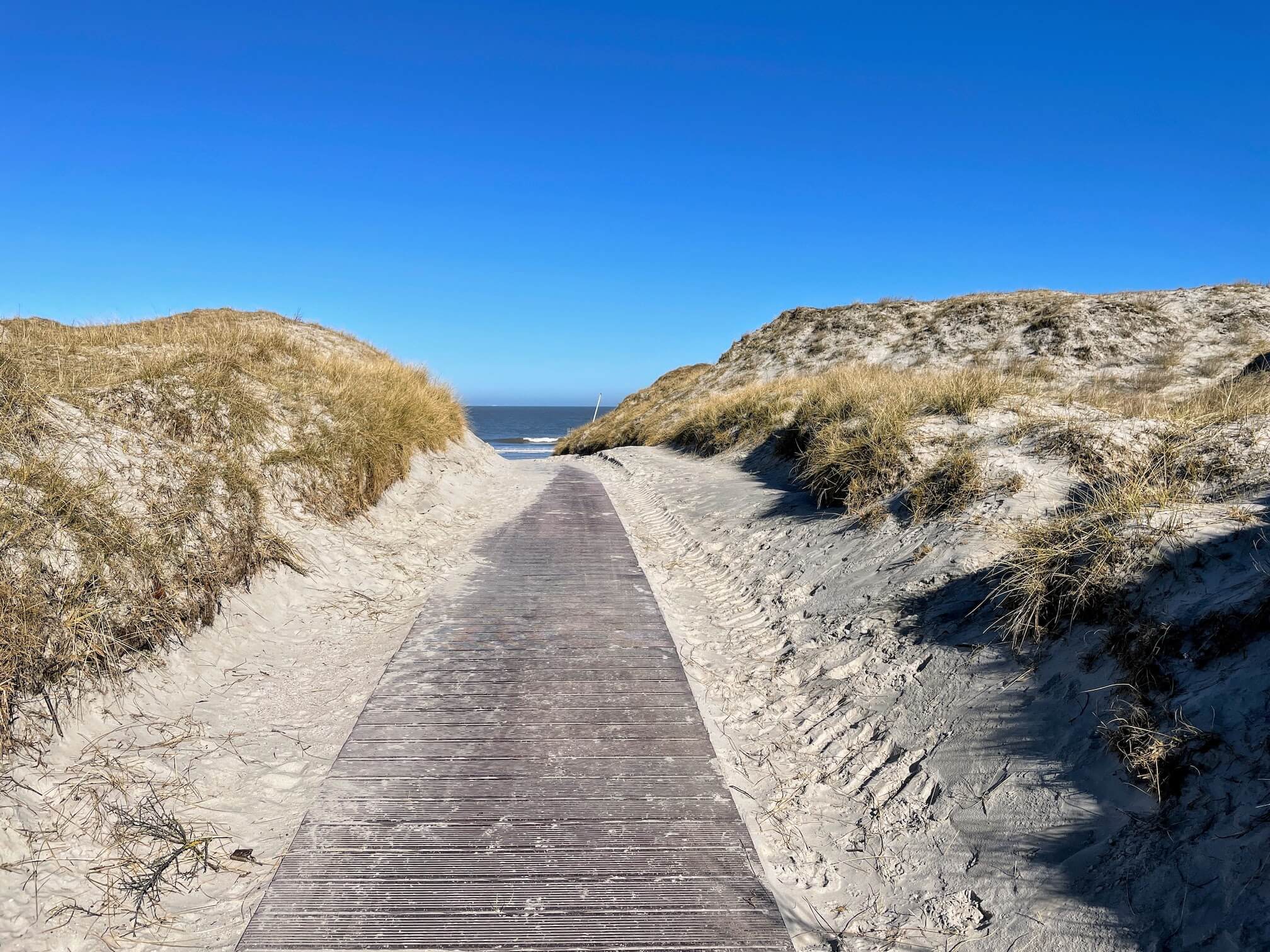 Path to the Sea We came out to the sea. Shells crunch underfoot. A strong wind. The air is filled with the smell of seaweed. It’s hard to walk against the wind, and there’s a hum in my head.