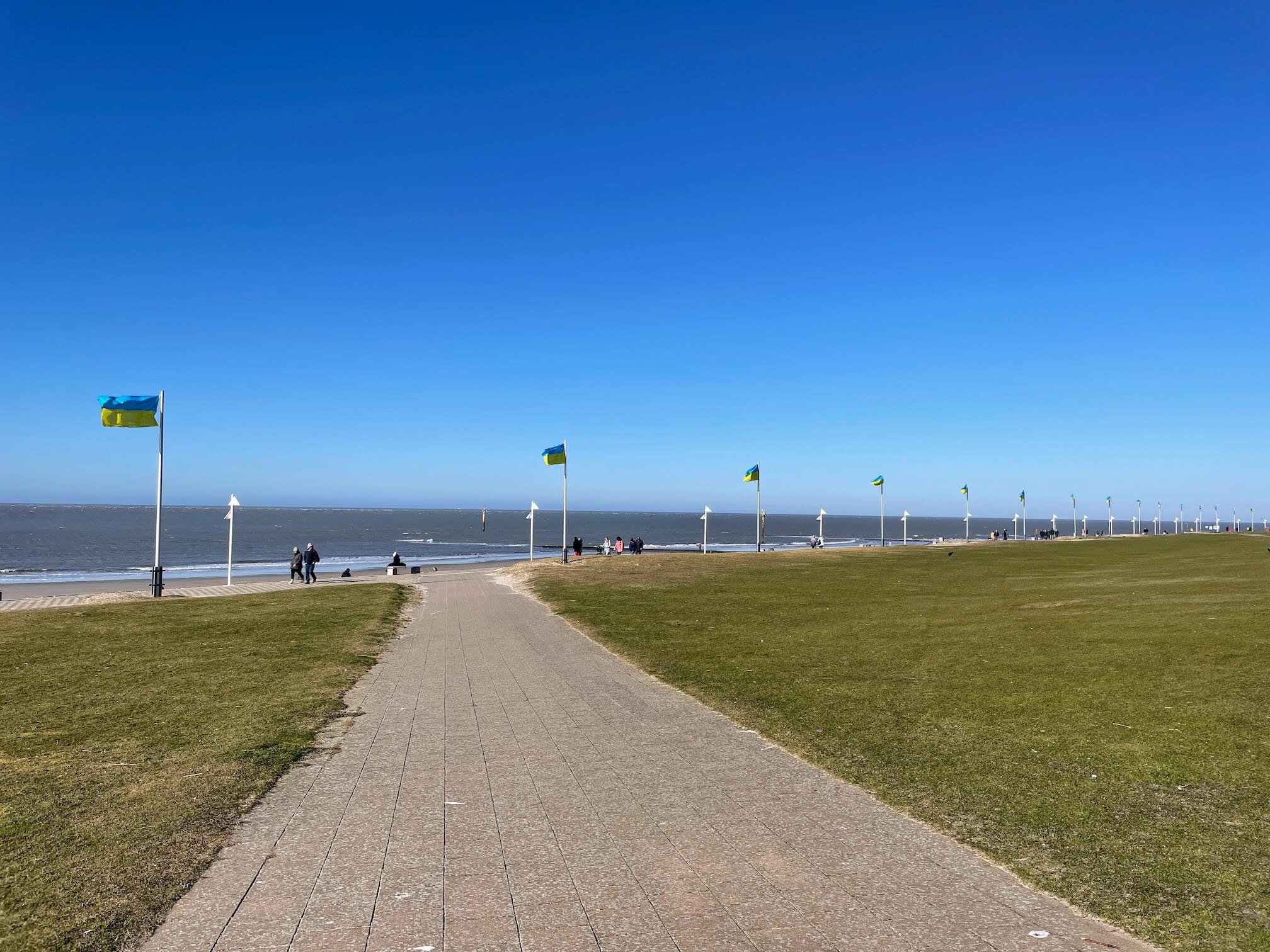The embankment on the island with Ukrainian flags