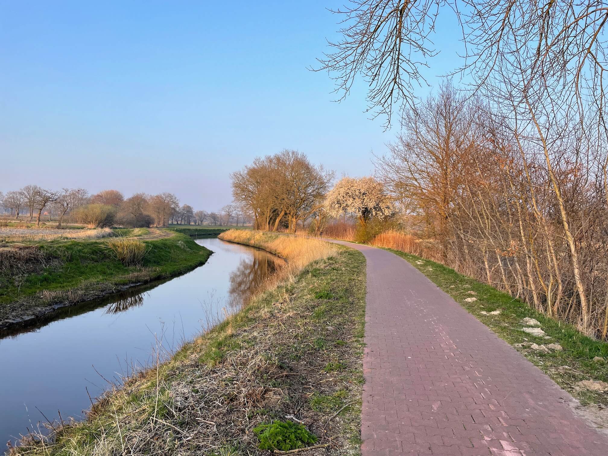 Path along the canal. Sunset.