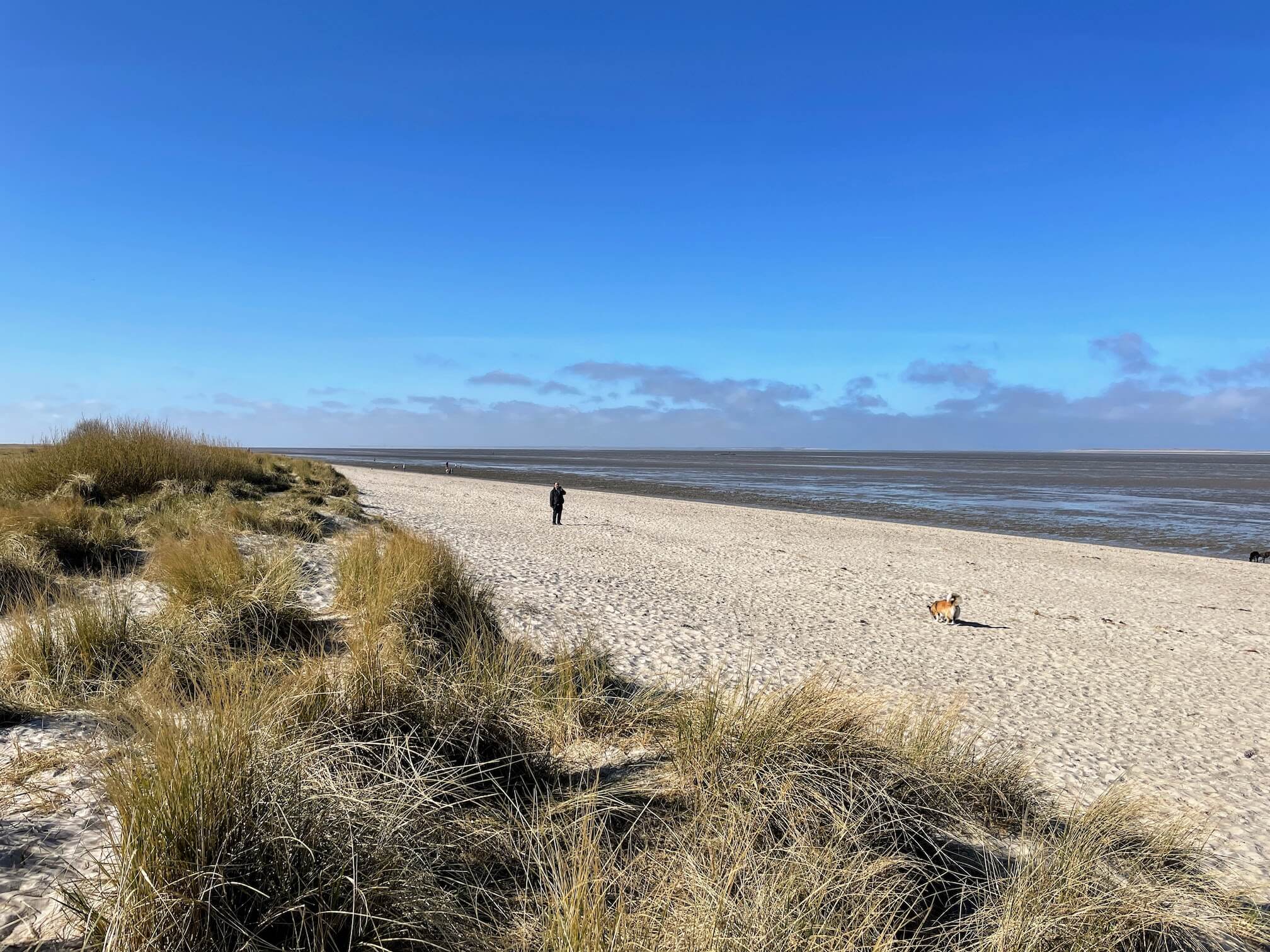 Schillig Beach