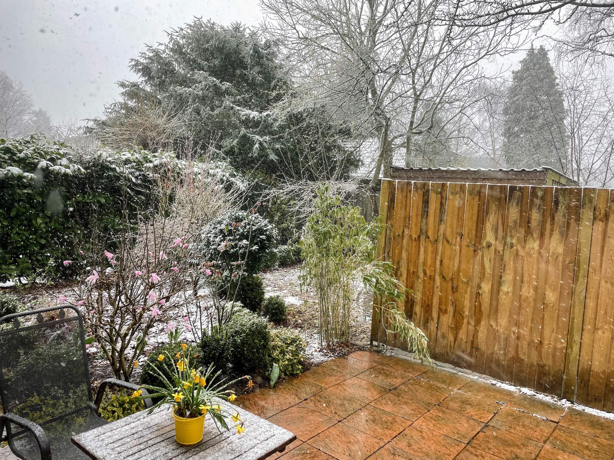 Snow on March 31