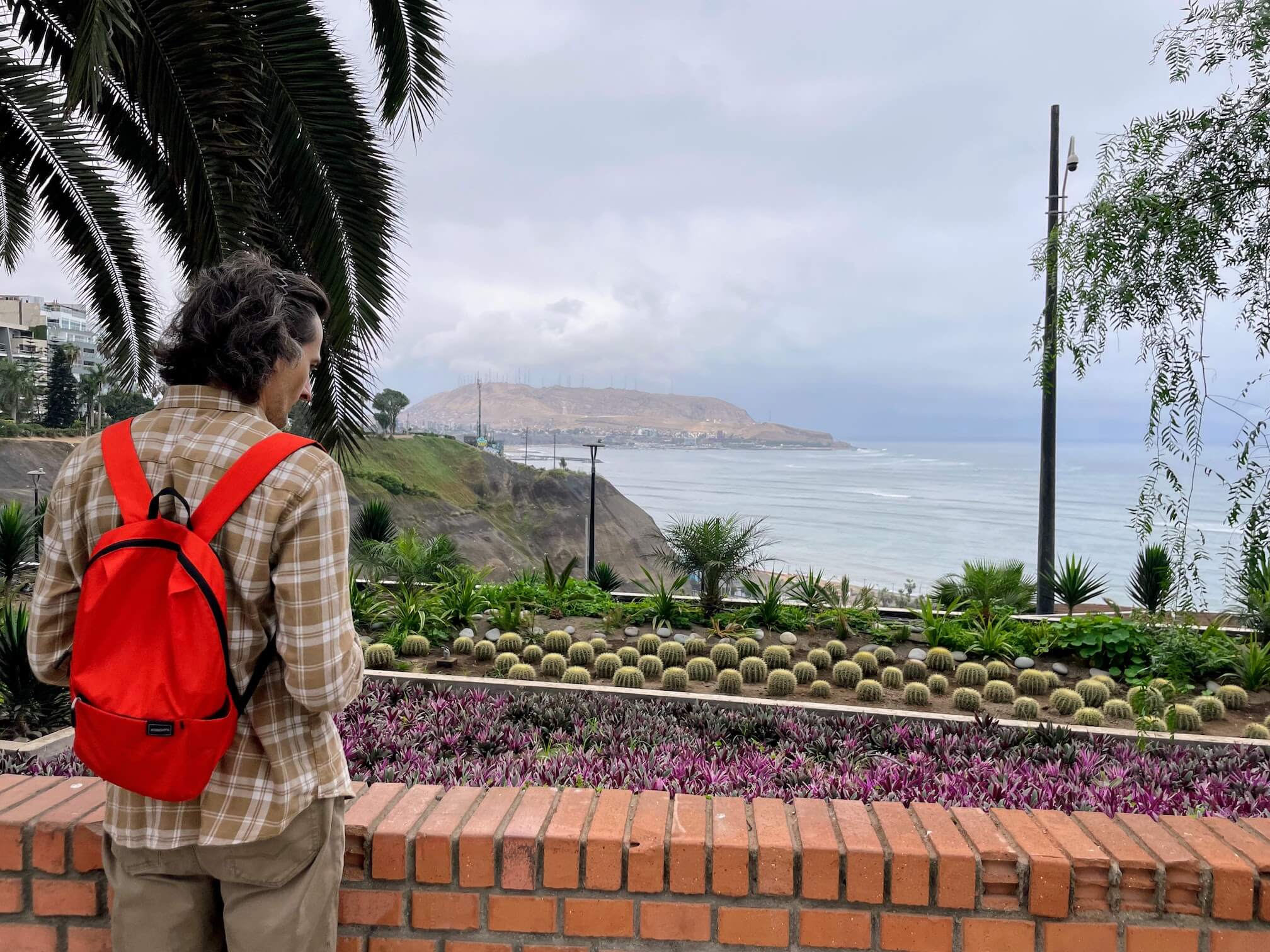 Barranco and Miraflores have many green areas. Paths with ocean views. Lots of flowers, amazing trees, and cacti.
