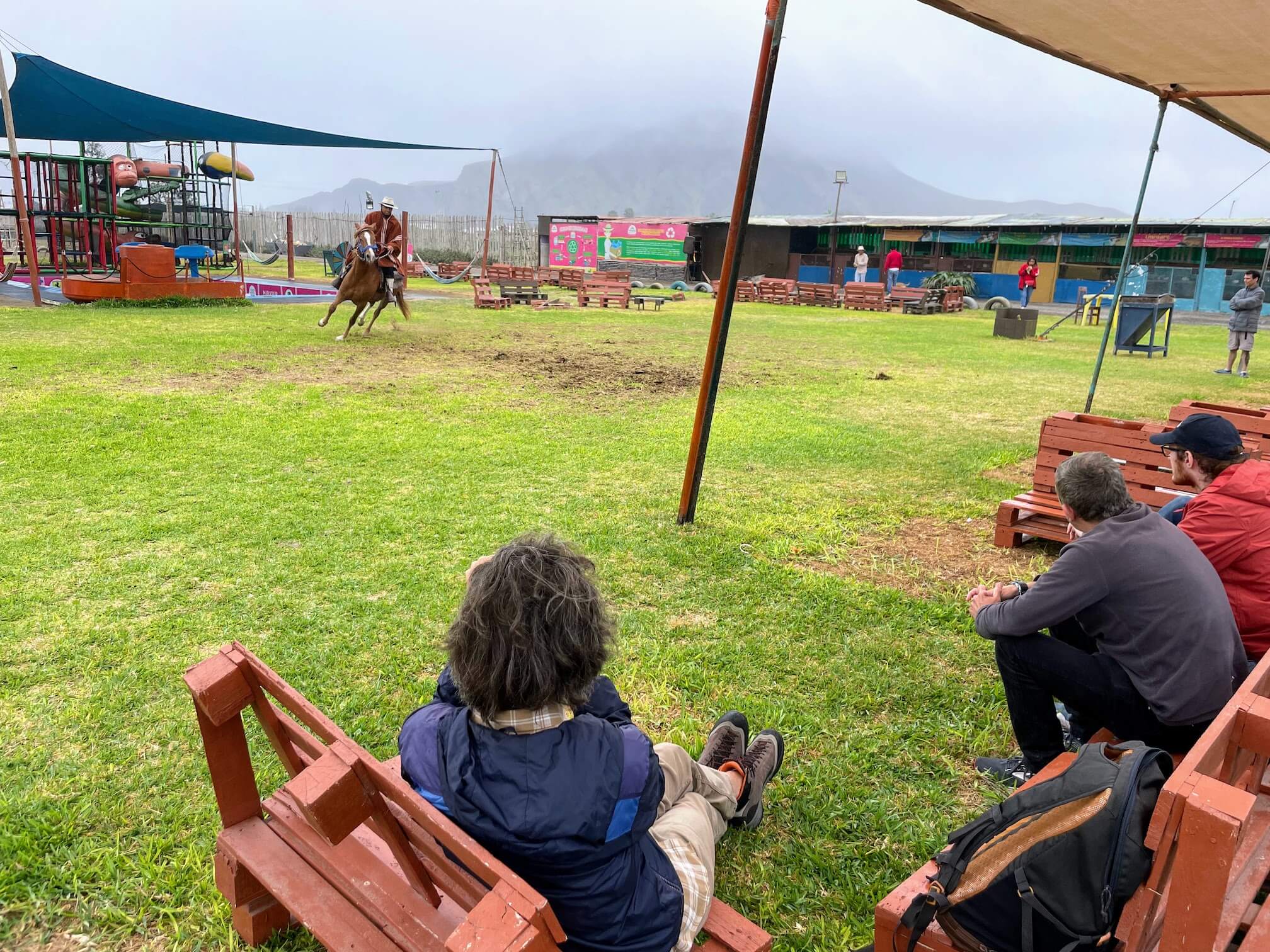 A performance with a horse