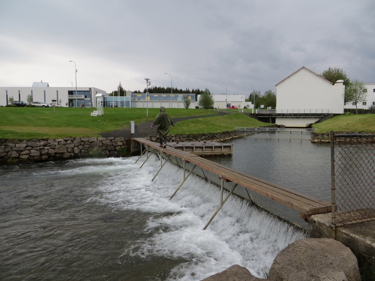 Driving around Iceland: Day 3