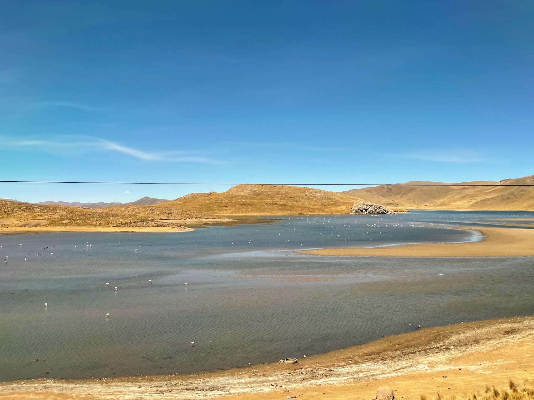 The little white spots on the lake are flamingos!