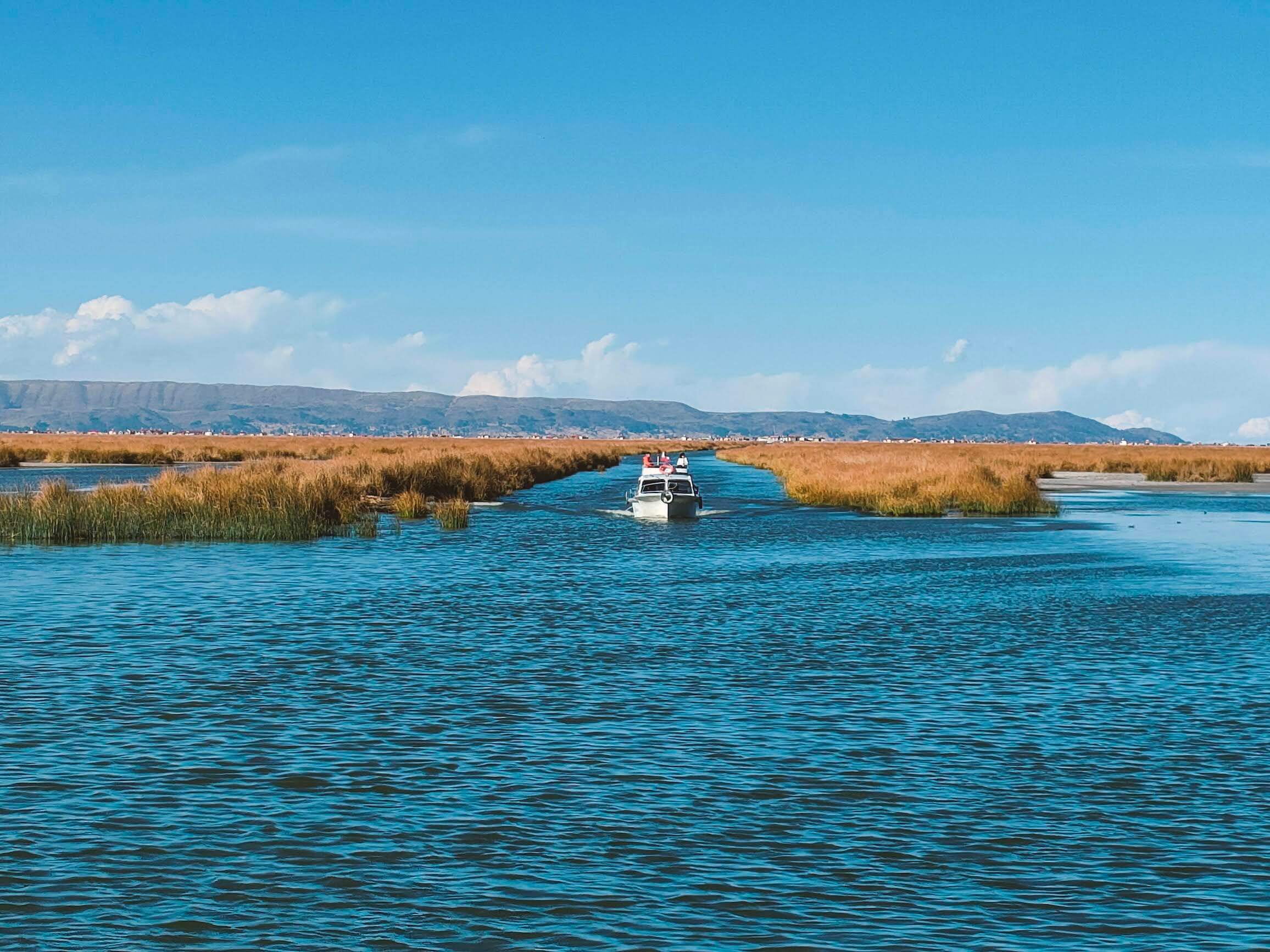 We are traveling along dug canals. Here the water is shallow, and there is a lot of sedge, from which islands are made.