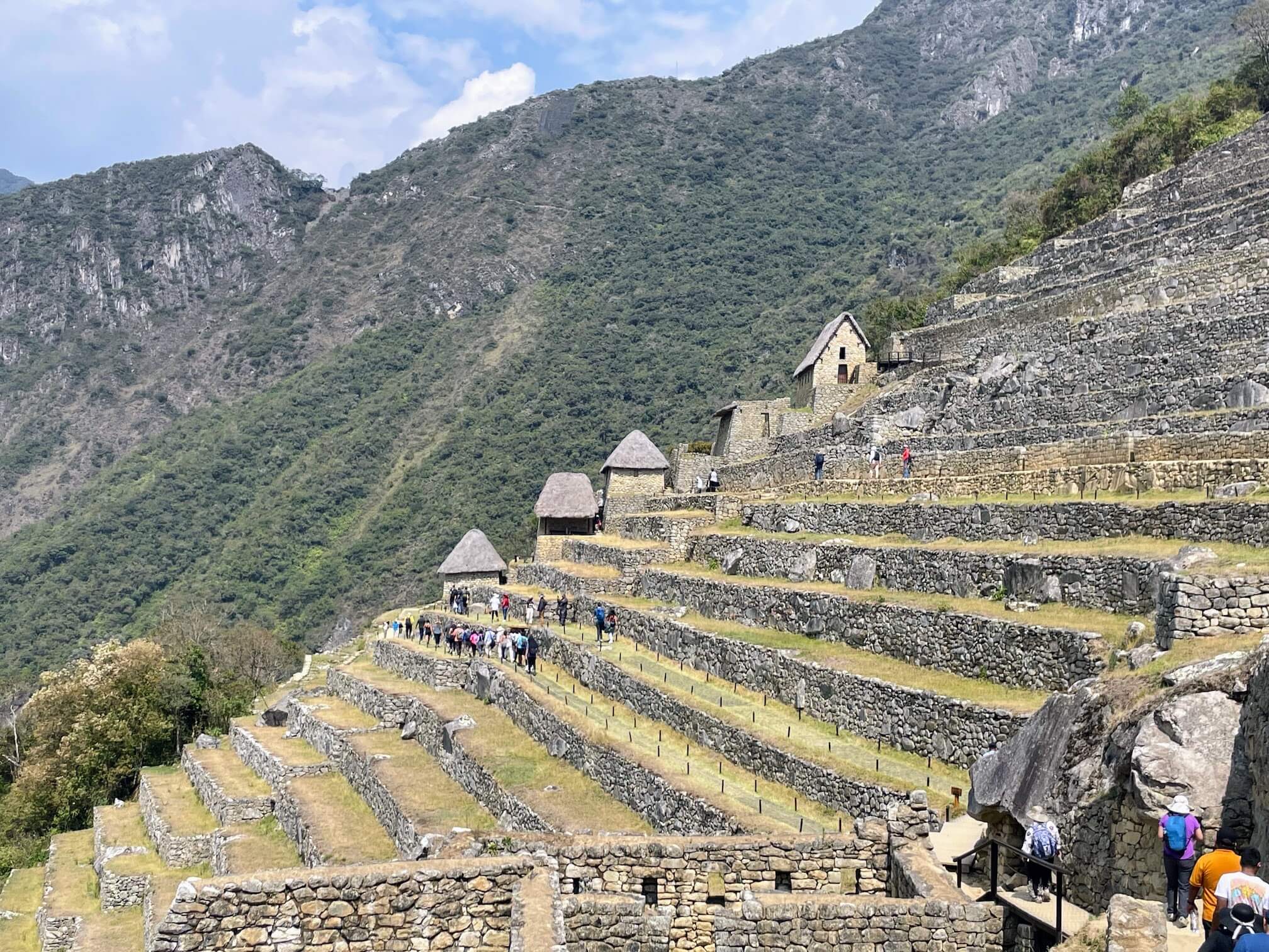 Terraces