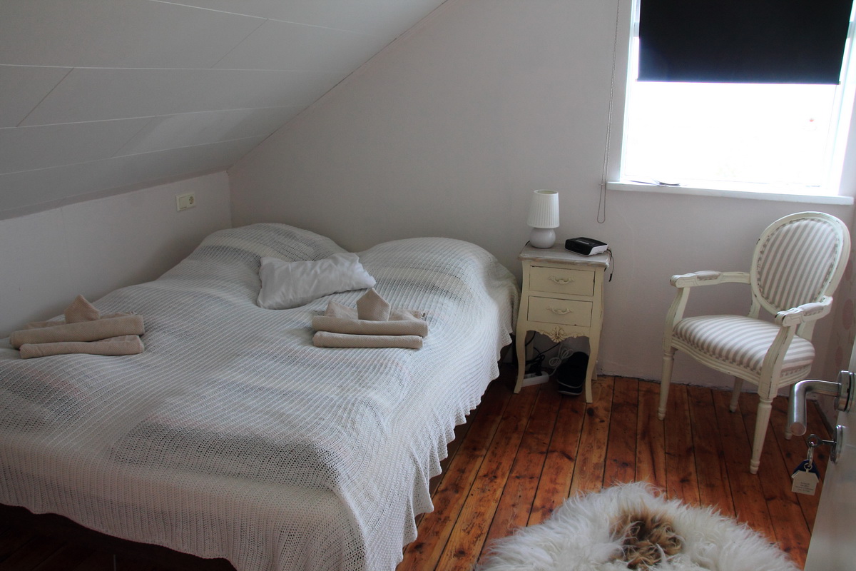 Driving around Iceland: Day 5