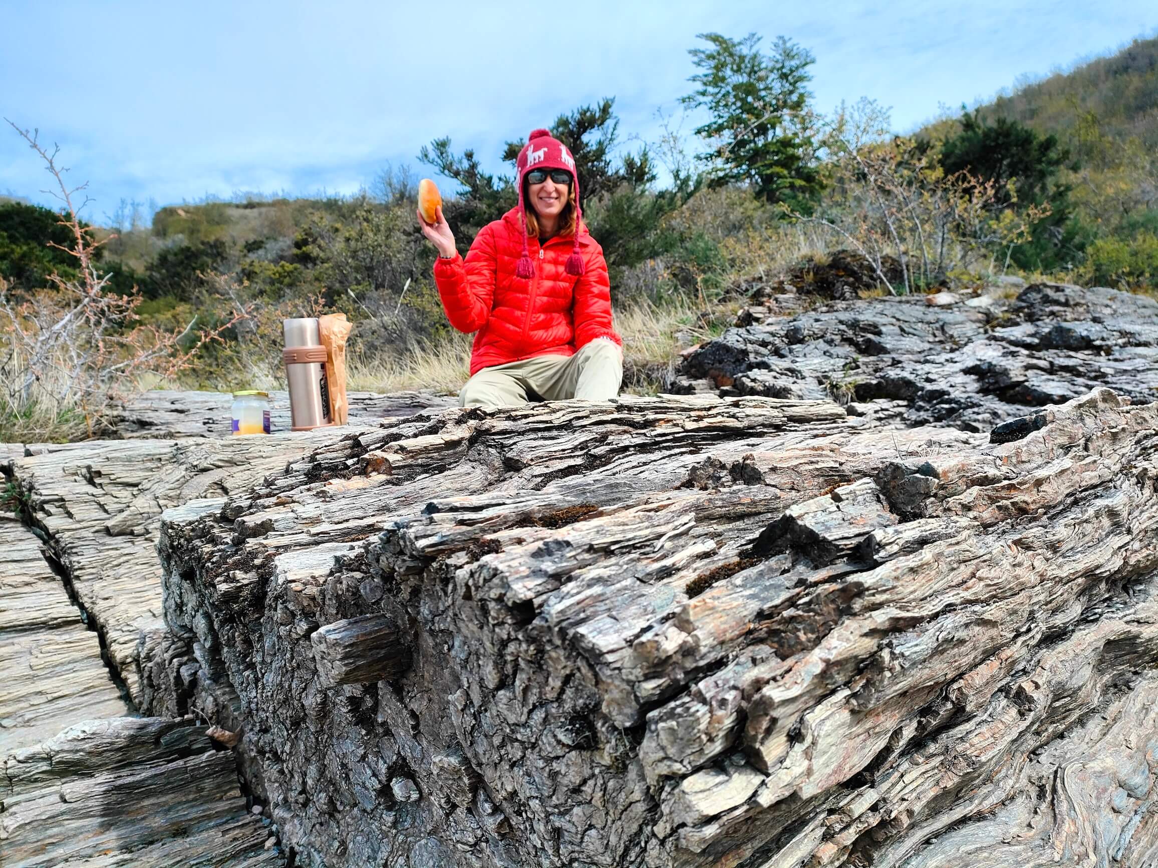 We made a stop on the shore of the lake. We’re eating fresh buns with honey and butter. Sitting on an incredible rock, very much like a huge tree...