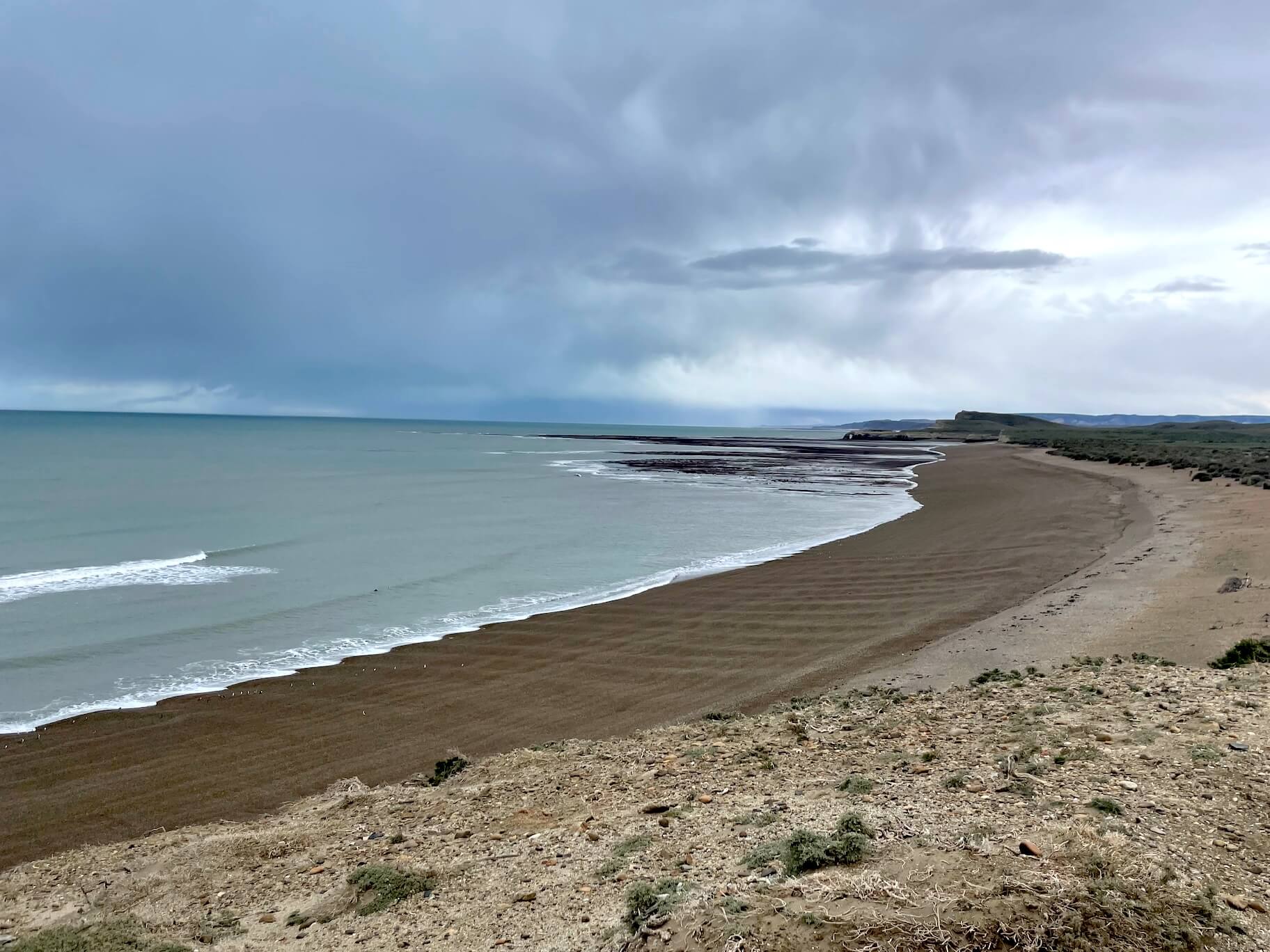 The coastline. It’s not visible in the photo, but there were also many penguins by the ocean. They can dive to depths of up to 80 meters.