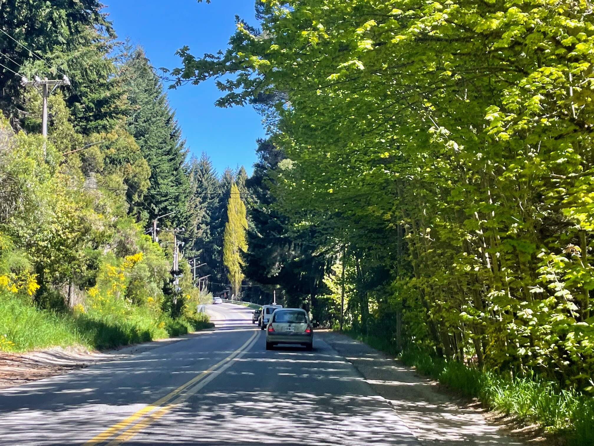 We’re driving around Lake Nahuel Huapi. There are lots of tourists and cars here.