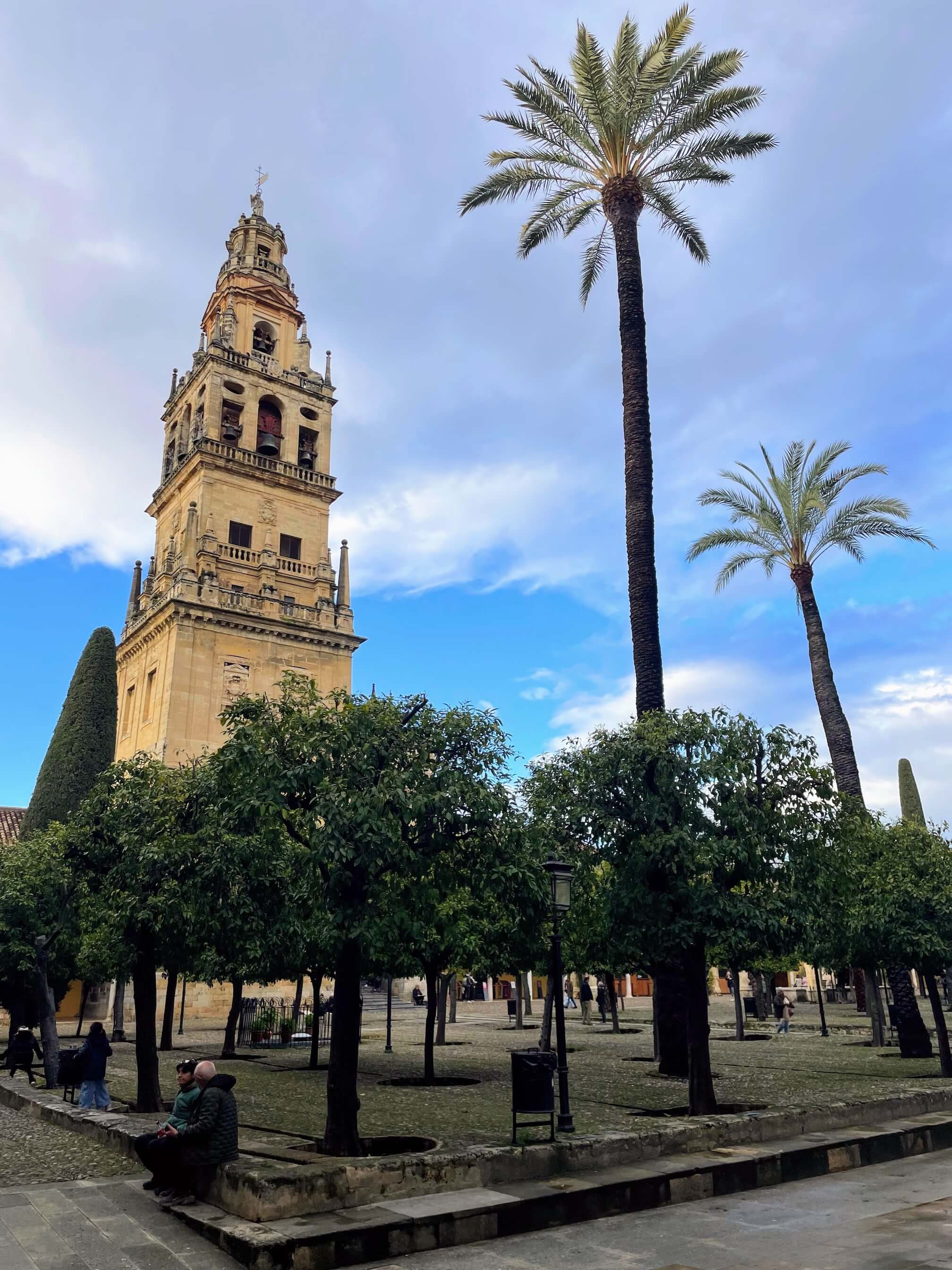 The bell tower of the Mosque-Cathedral and the courtyard with palm trees