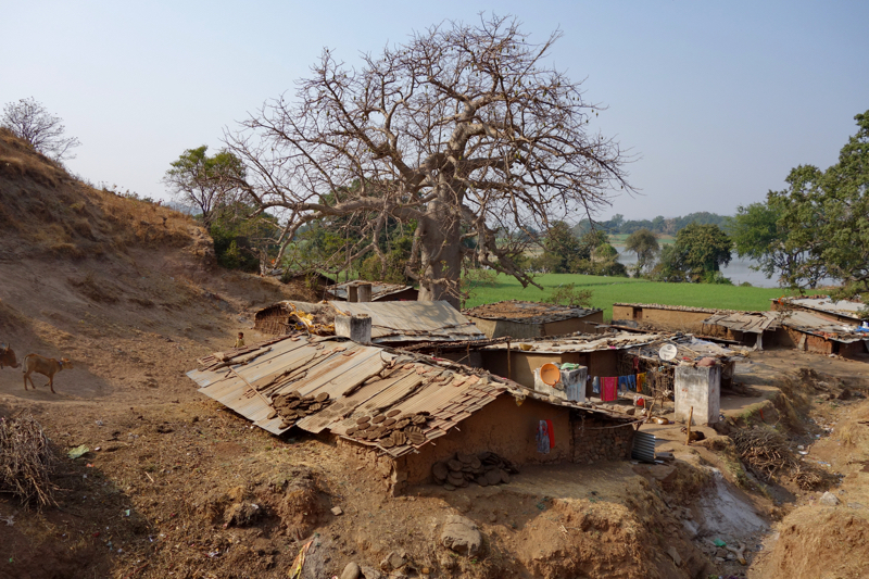 This is how the local people live, in houses made of clay. They dry cow dung on the roofs and then use it as fuel for kindling.