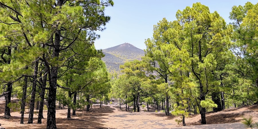 La Palma